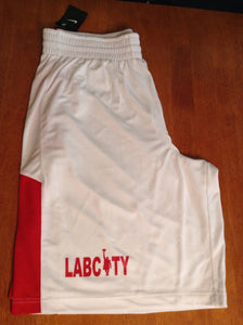 Nike Game Time Basketball Shorts by LABCITY