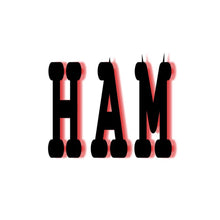 HAM TEE (*BRIAN HAMILTON* NICKNAME COLLECTION) by LABCITY