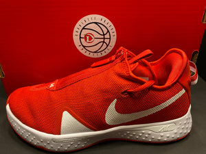 PG4 TB PROMO (Official Team Shoe of The Charlotte Dragons)