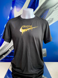 CHARLOTTE DRAGONS PICK YOUR POISON NIKE TEE (Youth)