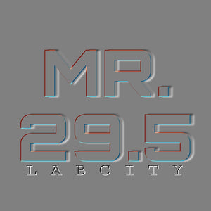 MR. 29.5 (Mr. Basketball) LONG-SLEEVE TEE by LABCITY