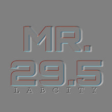 MR. 29.5 (PLATINUM) TEE by LABCITY