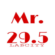 MR. 29.5 (Mr. Basketball) LONG-SLEEVE TEE by LABCITY