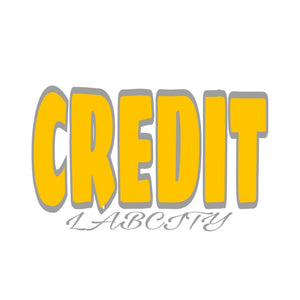 CREDIT TEE (NICKNAME COLLECTION) by LABCITY